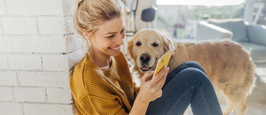 North Side Chicago Apartment Homes