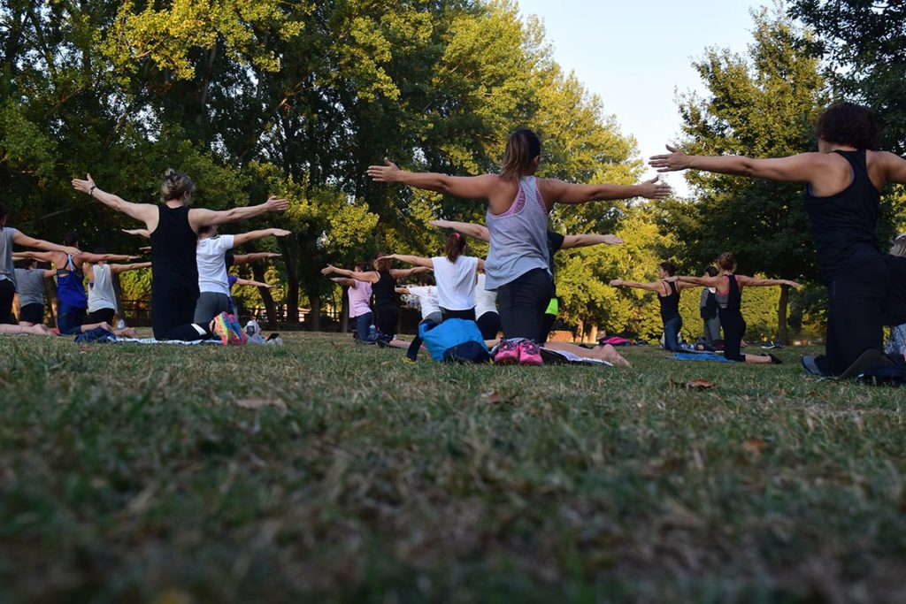 People Doing Yoga in Park